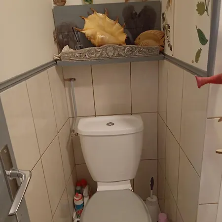 Creole Au Pieds Des Volcans, Cour, Jaccuzi Privatunterkunft